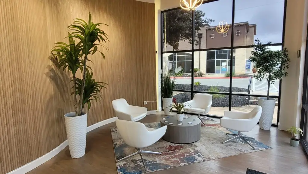Bare&Sol Stone Oak sugaring studio interior